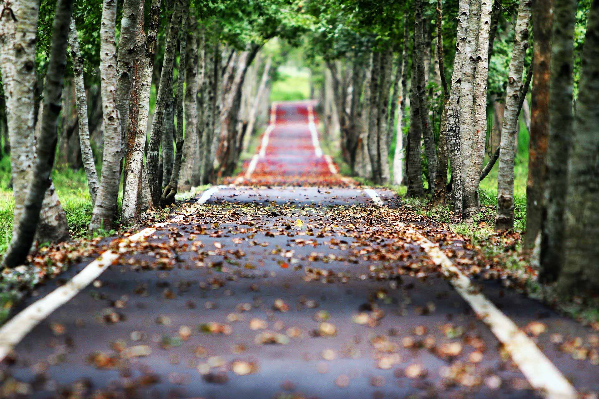 Roadtrip Ταξίδι στο άγνωστο