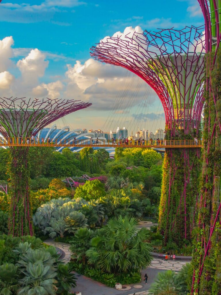 Gardens by the Bay Σιγκαπούρη