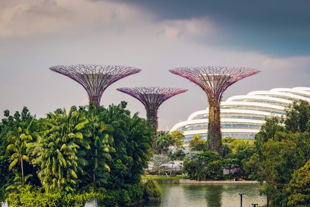 gardens by the bay 2